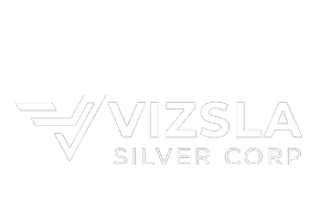 Vizsla Silver logo